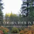 Fall Colors Tour in Taos: Guide to Viewing Fall Foliage in Northern New Mexico