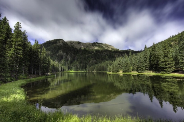 Carson National Forest